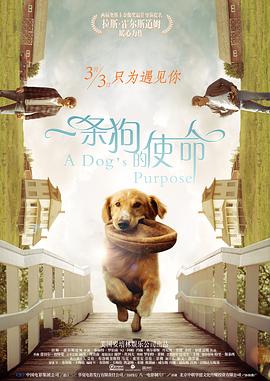 1卡二卡三卡四卡在线播放