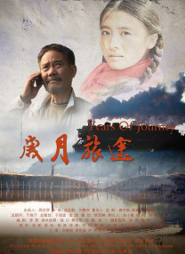 亚洲精品在线视频观看