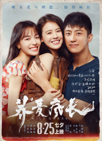 亭亭丁香