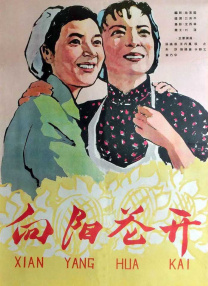 国产精品视频成人