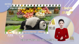 久久一区二区三区精品